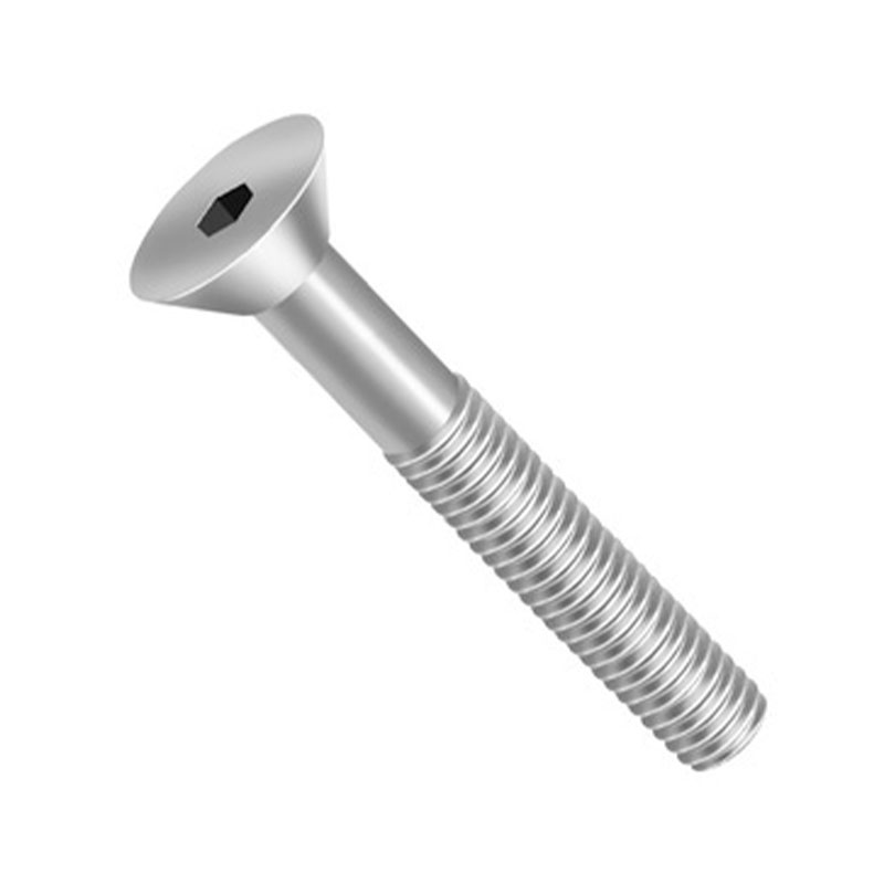 PA CH SEXT. INT M6X50 RP INOX