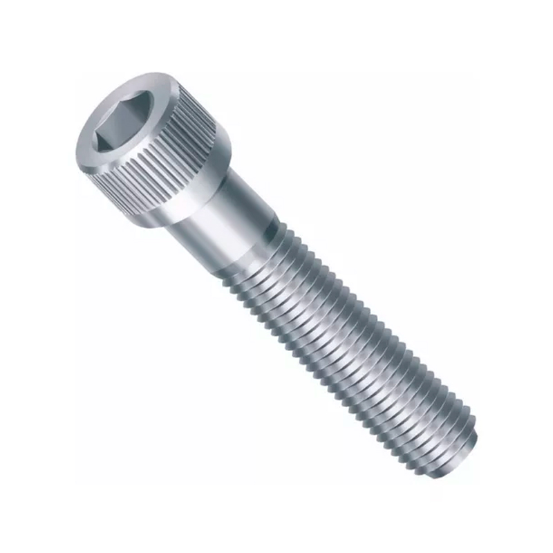 PA CL SEXT.INT M8X100 RP INOX304