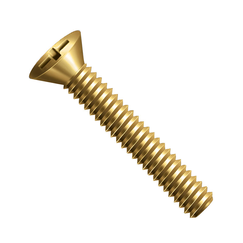 PA MQ CH PH M5X25 RI BC