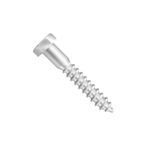 PA SOBER SEXT M6X60 RP INOX